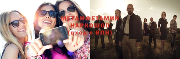 гидра Богданович