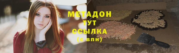 гидра Богданович