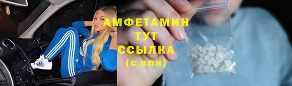 гидра Богданович