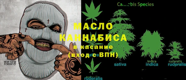 тгк Богородицк