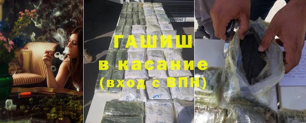 гидра Богданович