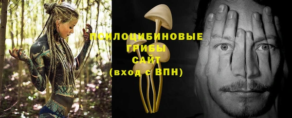 гидра Богданович