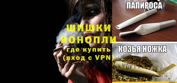 гидра Богданович